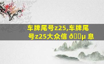 车牌尾号z25,车牌尾号z25大众信 🌵 息